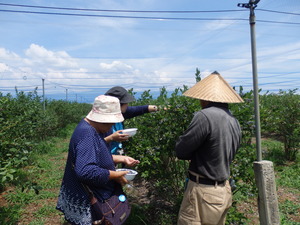 P7210015.JPGのサムネイル画像