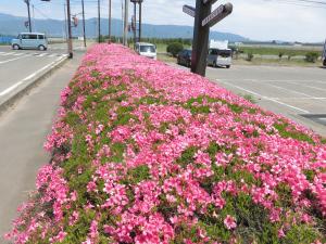 IMG_4576.JPG