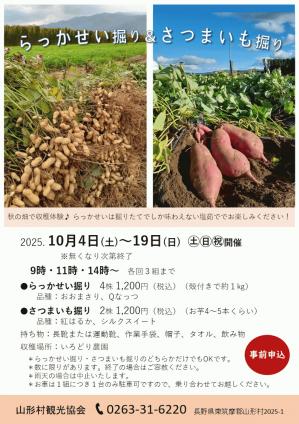 04R7らっかせい掘り＆さつまいも堀りチラシ.jpg