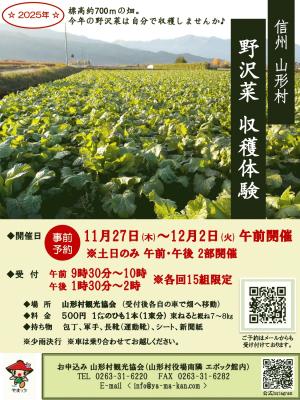 R7野沢菜収穫体験チラシ_page-0001.jpg