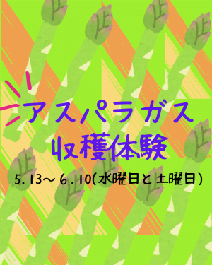 アスパラガス.png