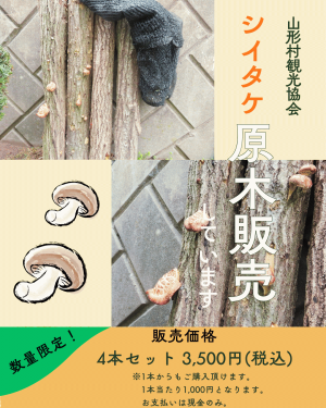 シイタケ原木販売.png