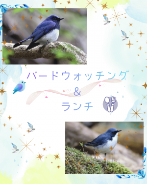 バードウォッチング ＆ ランチ.png