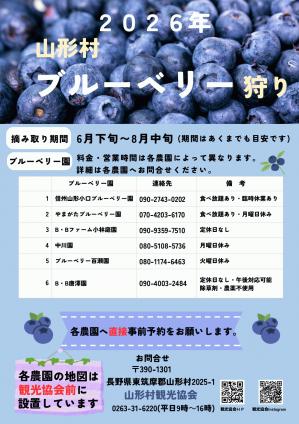 ブルーベリー狩り(チラシ)_page-0001.jpg
