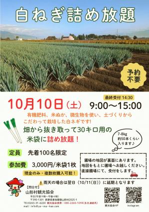 白ねぎ詰め放題 チラシ_page-0001.jpg